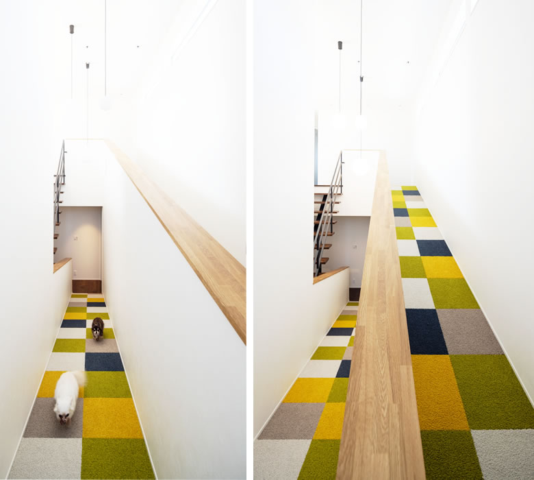 犬・ワンちゃん用のスロープ